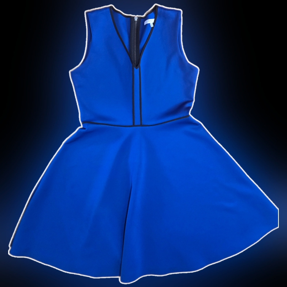 Medium Reed Blue Sleeveless Fit & Flare  Dress